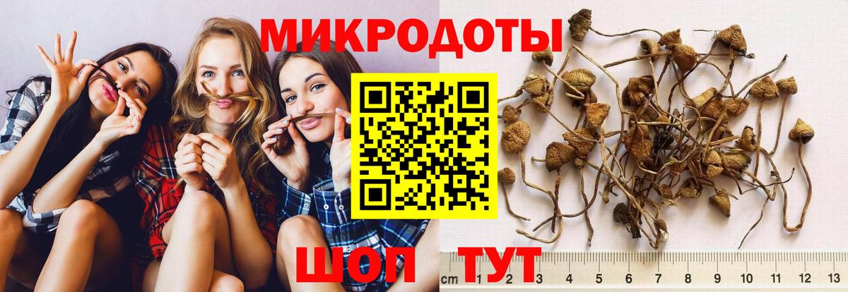 Псков  Псилоцибиновые грибы Psilocybine cubensis  Вход с VPN  Галлюциногенные грибы мухоморы 