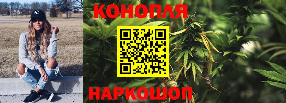 Псков  Канабис ГИДРОПОН  Каннабис план  Вход с VPN  Шишки марихуана Amnesia 